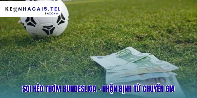 Soi kèo thơm Bundesliga yêu cầu phân tích dữ liệu khách quan