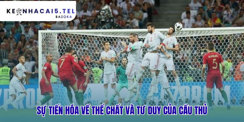 Bóng đá hiện đại thay đổi cầu thủ như thế nào về thể chất